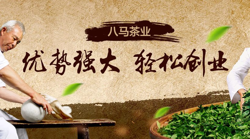 八马茶业 精品茗茶 致富更轻松